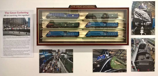 Display case of six model A4s